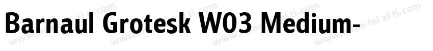 Barnaul Grotesk W03 Medium字体转换